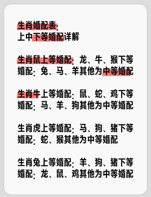 八字合婚的五大注意事项 别让生肖相冲毁了姻缘