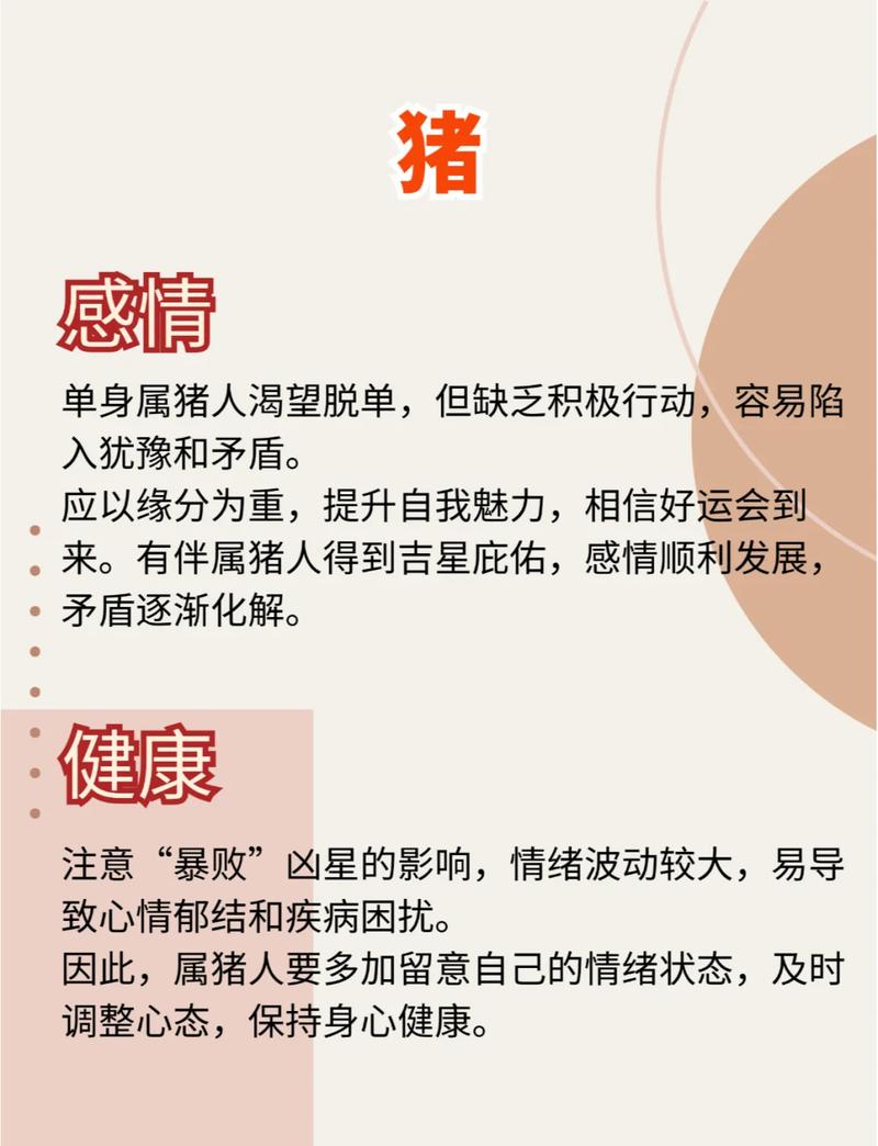 属猪人2026年小心什么 三大关键提醒