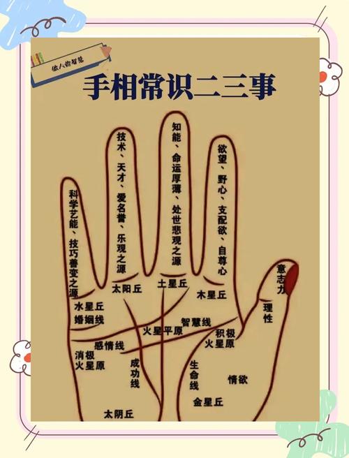 手心痣相怎么看 不同位置与生肖命运详解