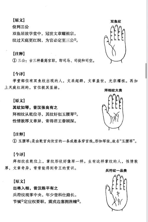 手相预测命运走势 从掌纹看透你的财运婚姻健康