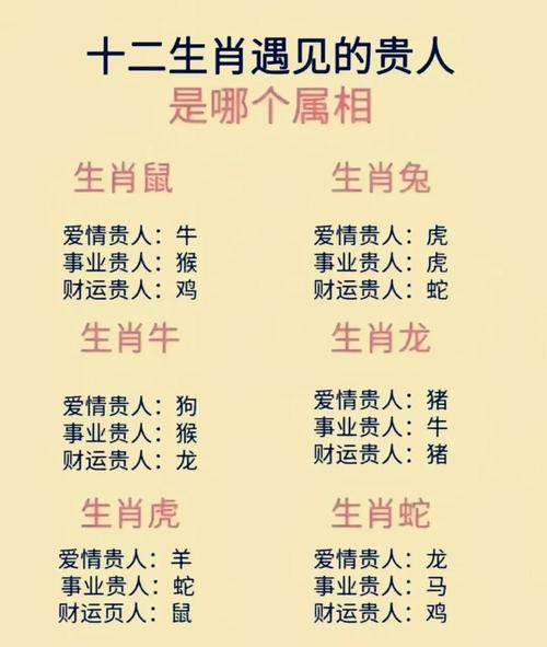 2026年属鼠人最旺的生肖和属鼠女贵人揭秘