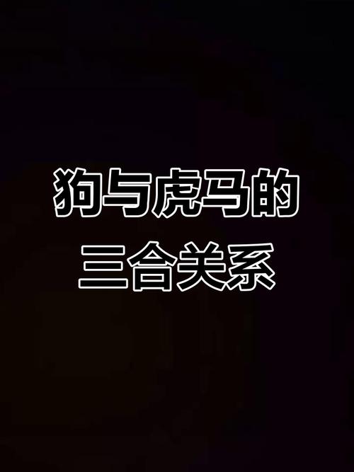 属狗2026年隐形贵人揭秘，虎马兔暗中助你顺风顺水