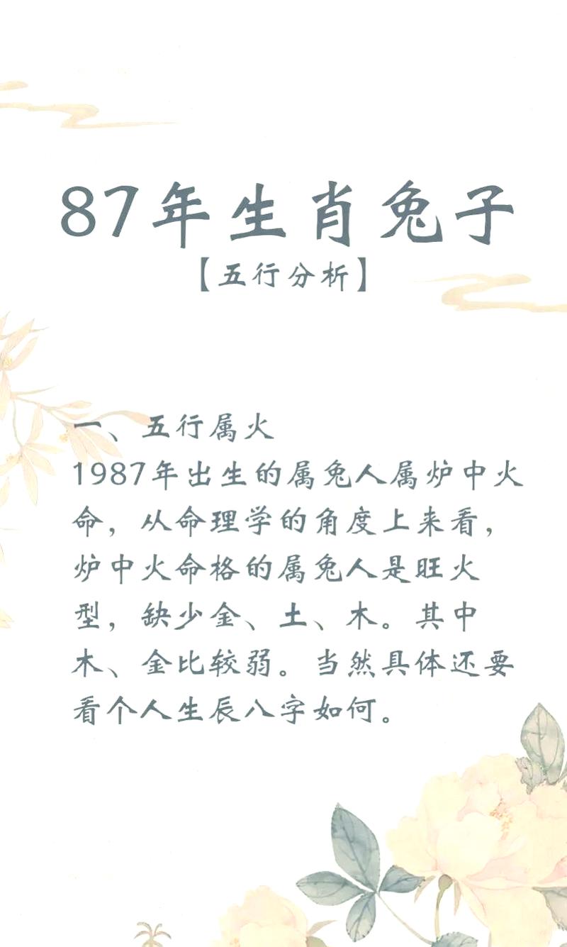 属兔人2026年要小心什么 这几点千万注意