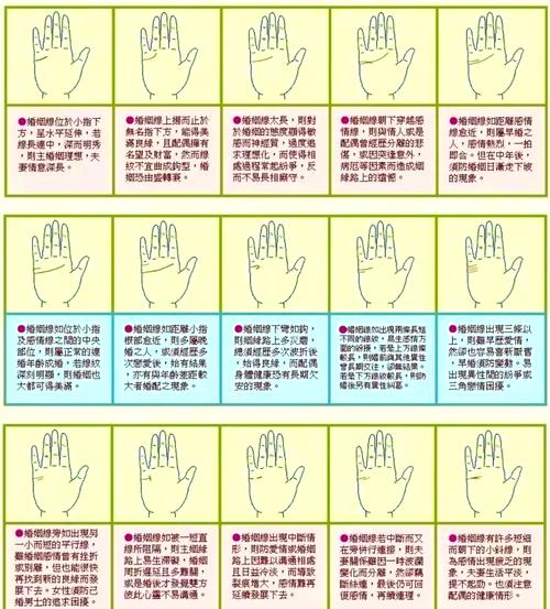 手相大师财运线解读_手相大师_十二生肖婚姻线分析