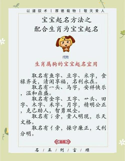 生肖属相取名指南 十二生肖起名宜忌全解析