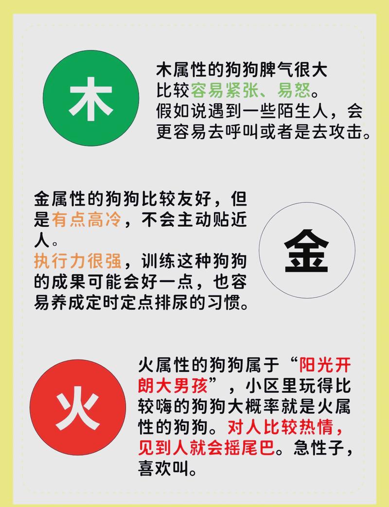 木狗命适合什么职业_适合木狗命职业_木狗命五行特质