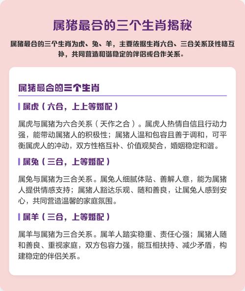 属猪最佳婚配生肖分析_2026年属猪真爱运势_2026年属猪的真爱是谁