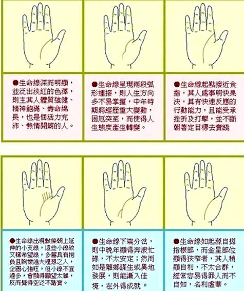 手相与健康 十二生肖生命线透露你的身体隐患