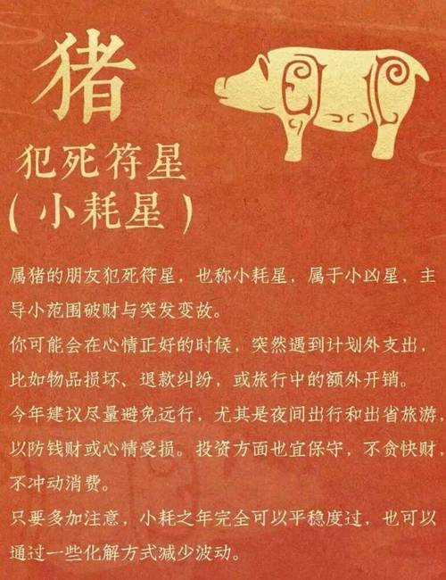2026年属猪大爆发的原因 三大天机助你腾飞