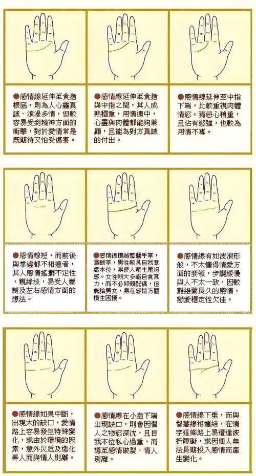 手相与性格有什么关系？掌纹揭秘你的天生个性