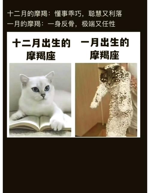 土象星座符号含义_处女座符号含义_金牛座符号含义