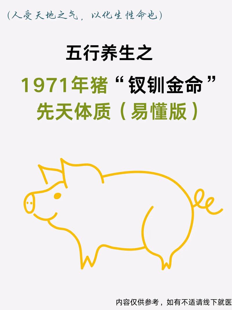 1971年属猪2026年1月运势_属猪2026年1月事业财运分析_71年猪2026年1月份运气