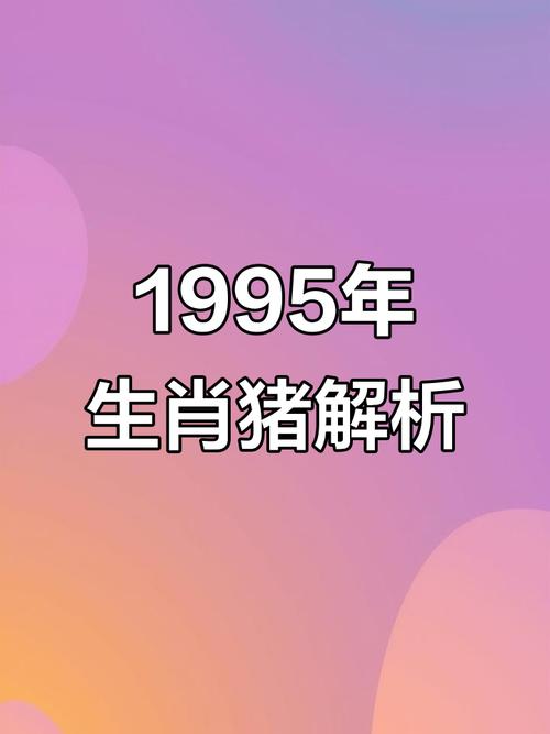 95年属猪2026年运势详解 财运事业感情全分析