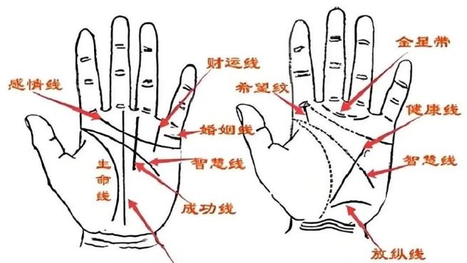 手相在变？你的运势可能悄悄跟着改