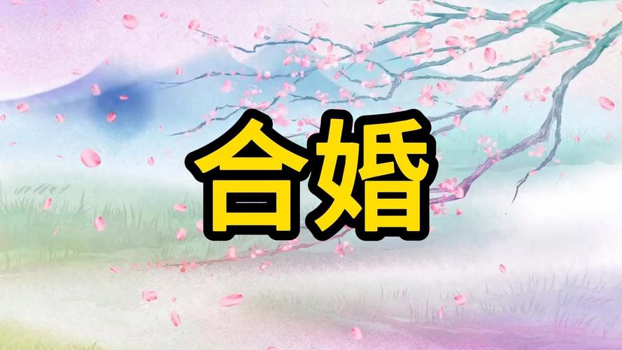 免费婚配算命网靠谱吗_八字合婚的口碑评价_八字合婚口碑评价