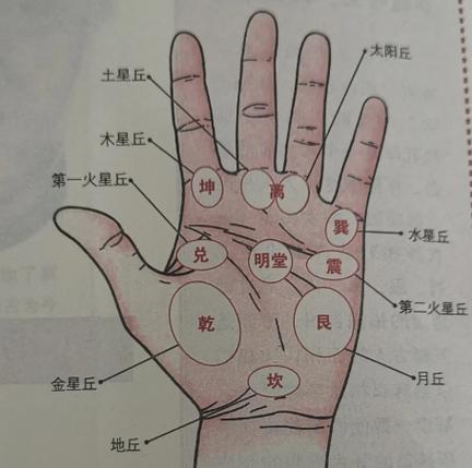 手相形状五行分类性格_手相主要纹路解读_手相形状