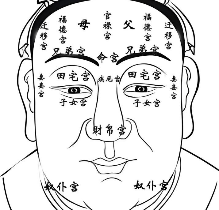 学看面相从这三个部位入手最快