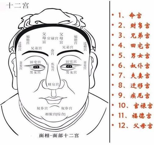 面相学_如何通过面相快速识人_面相学应用