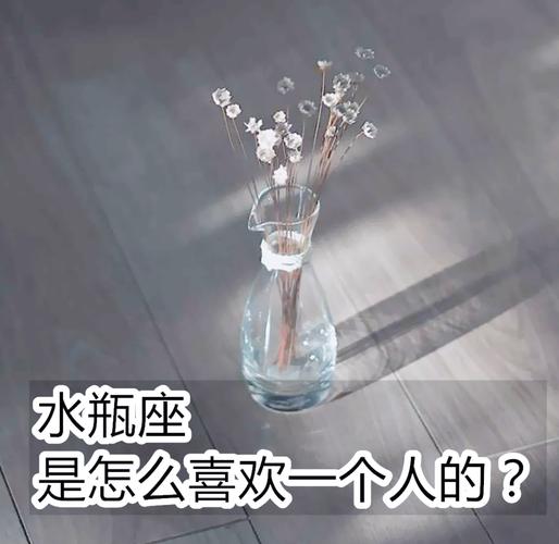 水瓶座性格强硬适应力超越常人这些特质让人捉摸不透