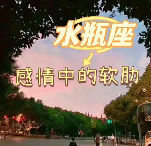 水瓶座适应力强_水瓶座性格与适应能力_水瓶座思维能力与社交边界平衡