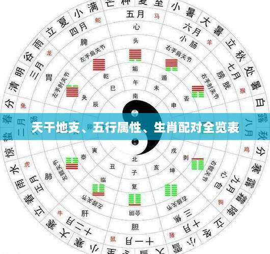 地支五行属性全解：你的生肖属什么五行