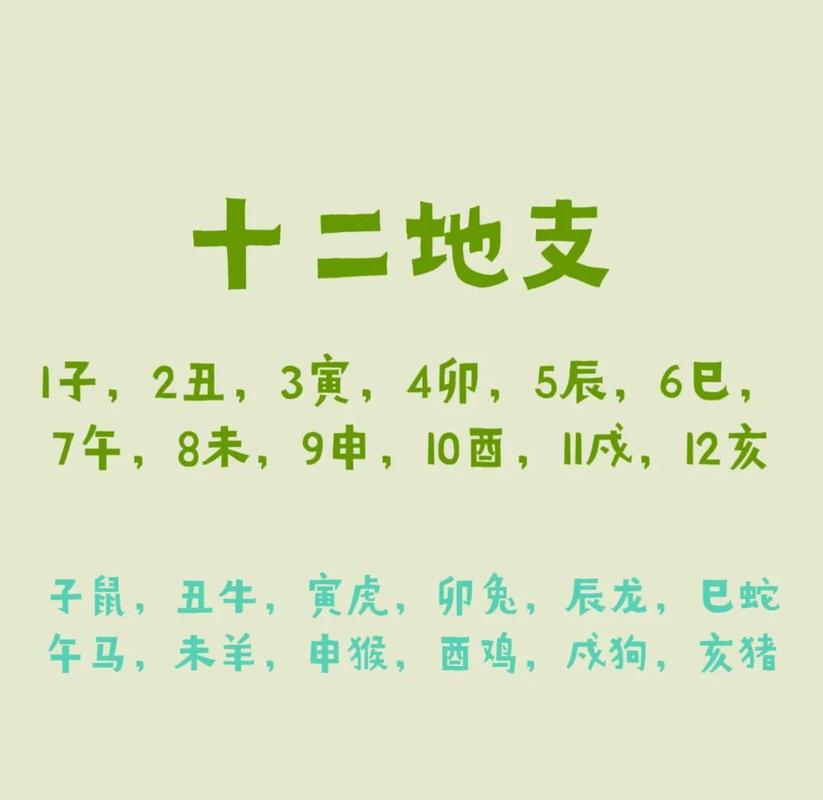 12地支五行属性_十二地支五行属性划分_地支藏干五行奥秘