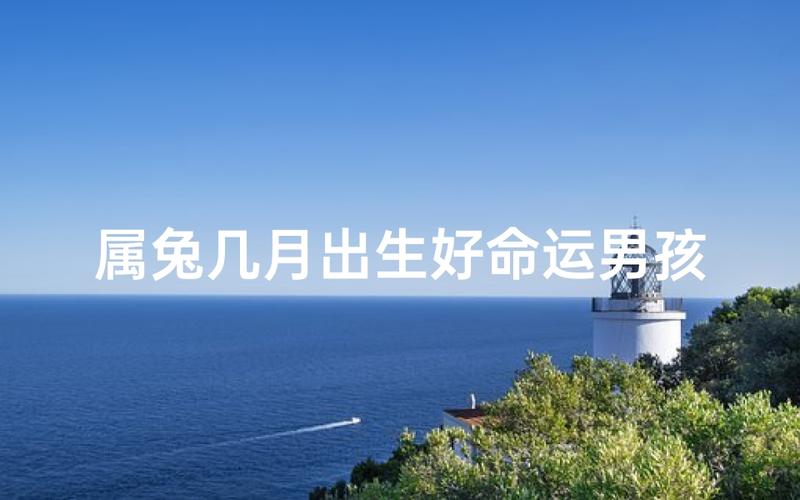 二月兔男是什么命_二月兔男命运分析_木兔命格五行平衡