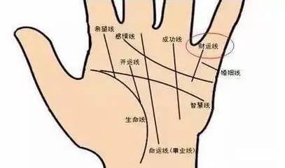 手相长短看命运_手相长短_生命线短寿命分析