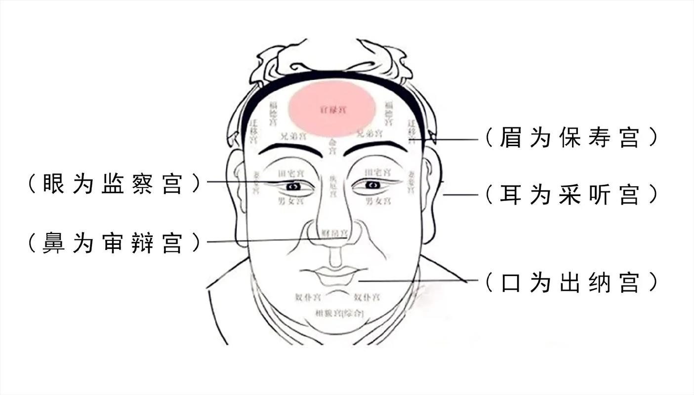 面相学三停五官十二宫_面相学基础概念与实战技巧_面相学讲座