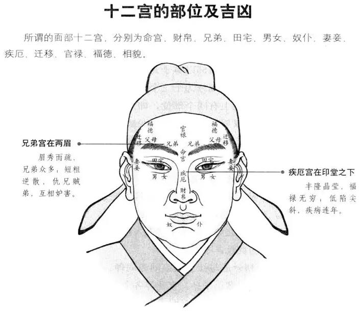 面相学讲座_面相学三停五官十二宫_面相学基础概念与实战技巧