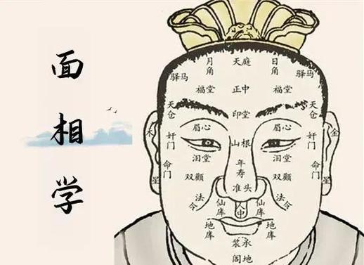面相学三庭五岳分析框架_面相学正规学习途径_面相学培训
