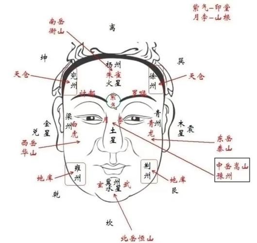 脸是命运地图 3个真实面相案例揭开面部密码