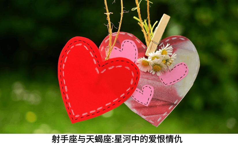天蝎座和射手座配对 合不合 看这一点_天蝎座和射手座配对_天蝎座射手座配对分析