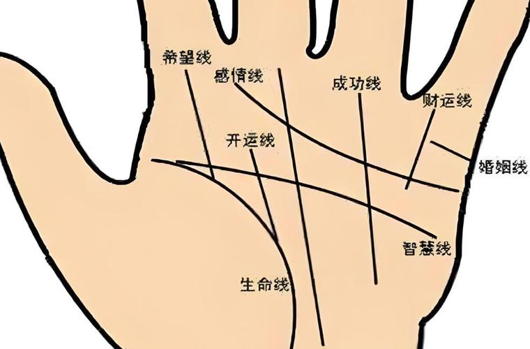 男人左手看健康事业，五大掌纹线解读