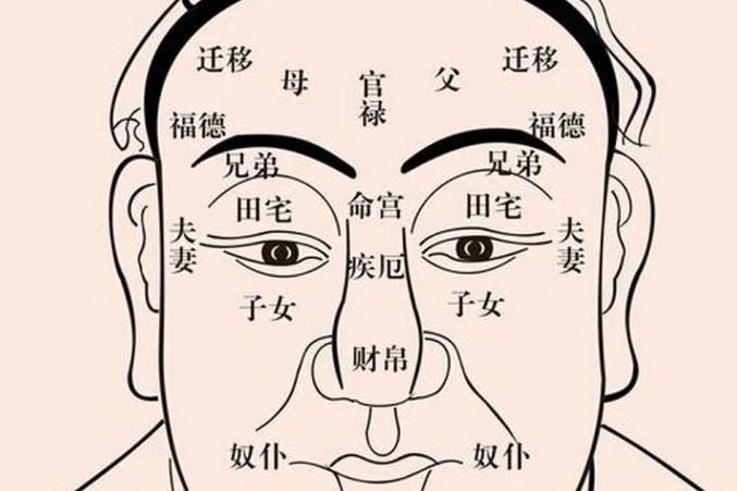 八字面相结合分析_八字看面相技巧_八字与面相