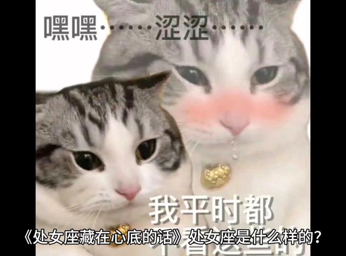 处女座感情忽冷忽热？两个暗示看懂他的深情