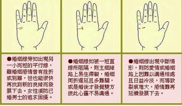 八字和手相 看透你一生的性格与命运