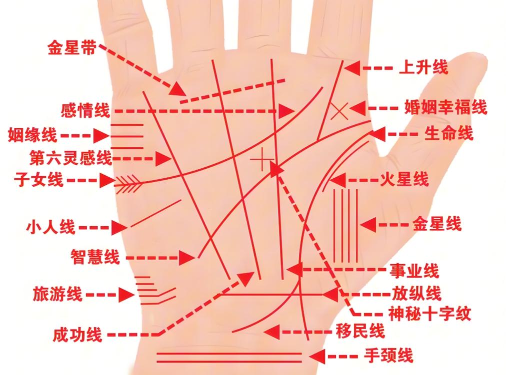 八字手相哪个更精准_八字手相关联_八字与手相