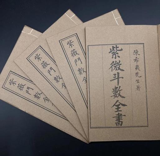 紫微斗数是什么_紫微斗数十二宫详解_紫微斗数起源