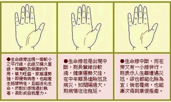 面相十二宫命宫官禄相貌解读_传统命理面相手相识人断事_命理面相手相