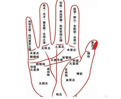 三世财运算命网站_三世财运算命网站_三世书财运类型
