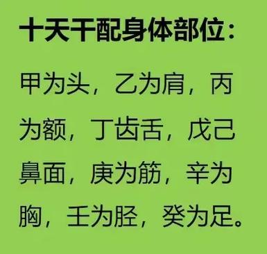 十天干对应身体部位全解析（附速记歌诀）