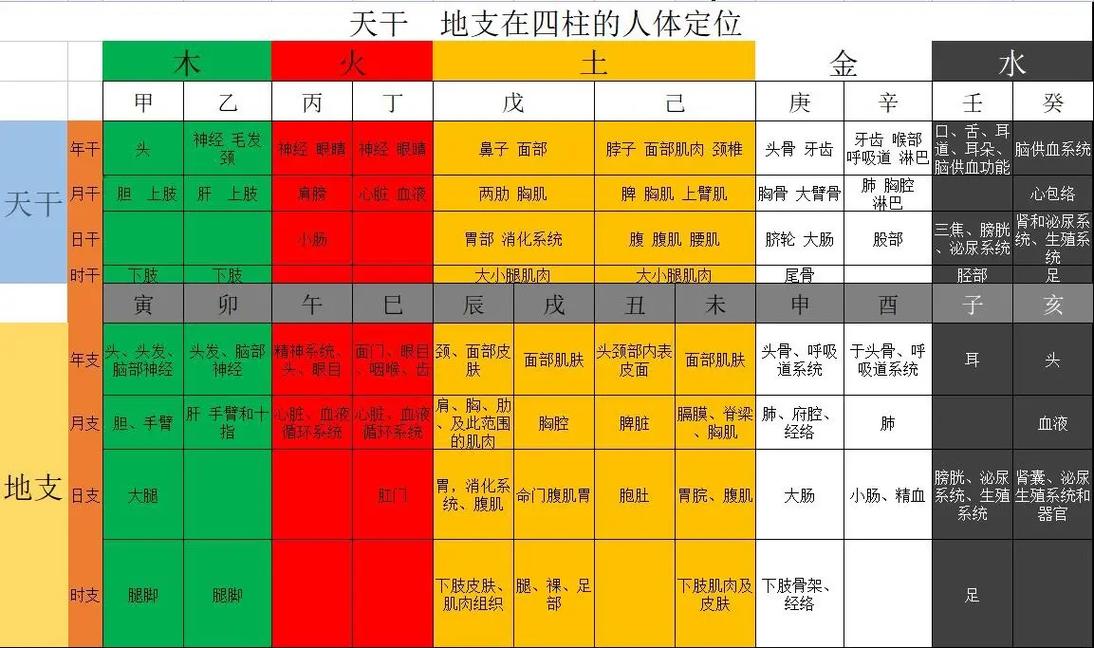 十天干对应人体部位_天干命理与健康关系_解析十天干所表示的身体部位