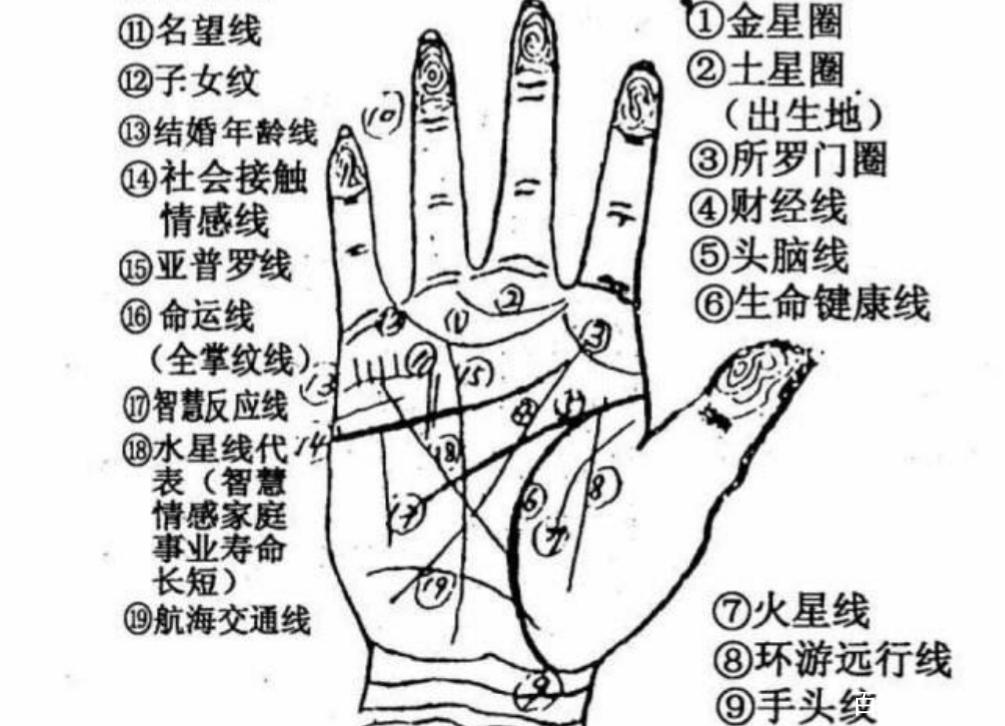男性右手掌纹解读_男性手相财运纹分析_男右手相