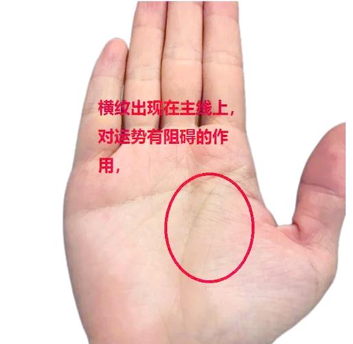 读懂女左手相：揭秘三大主线背后的命运玄机