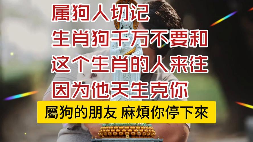 属狗最难相处的属相_属狗相克生肖_不敢惹属狗的生肖是什么，斗不过属狗人的生肖是谁