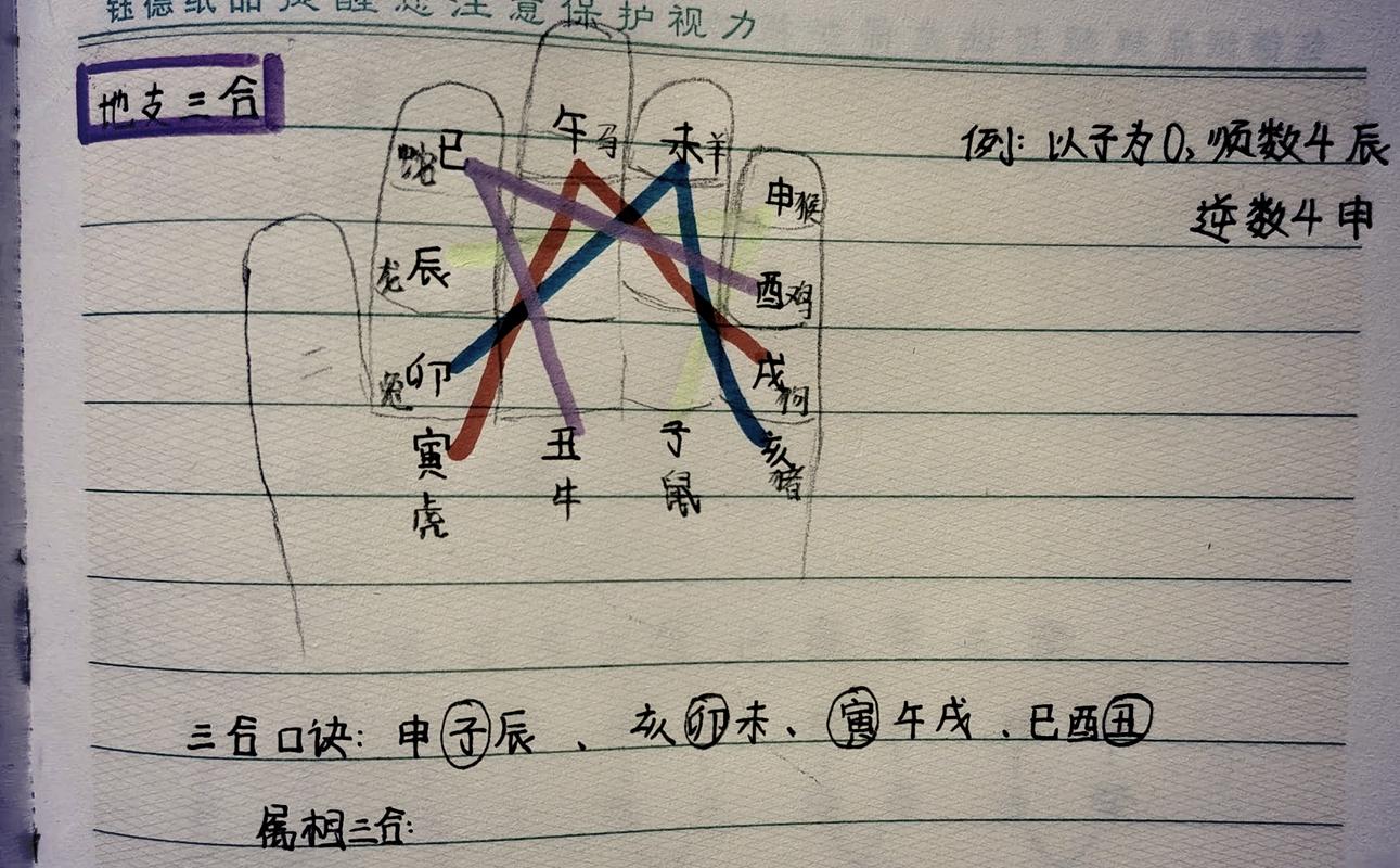 地支六合化神详解_八字地支合化条件_详解八字十二地支的合化