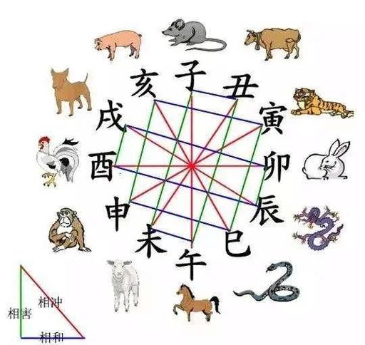 在命局当中地支发生相冲的影响_八字地支相冲详解_夫妻宫相冲对婚姻的影响