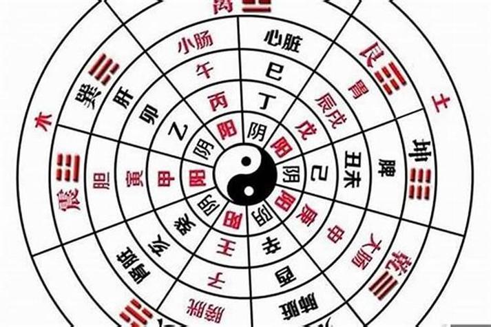 八字全阳的女人_八字全阳女性事业运势分析_八字全阳女性性格特点