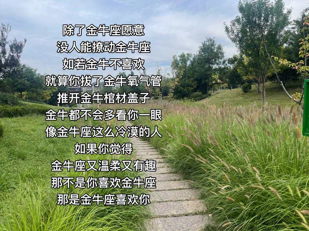 金牛座物质观_土象星座的物质观_处女座精打细算